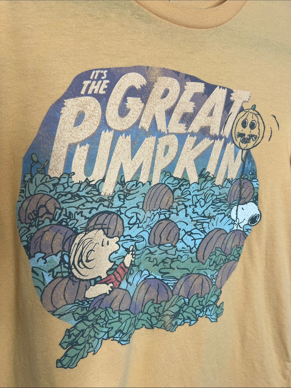 It’s the Great Pumpkin Charlie Brown and Snoopy Halloween Tee size Medium - Picture 6 of 9